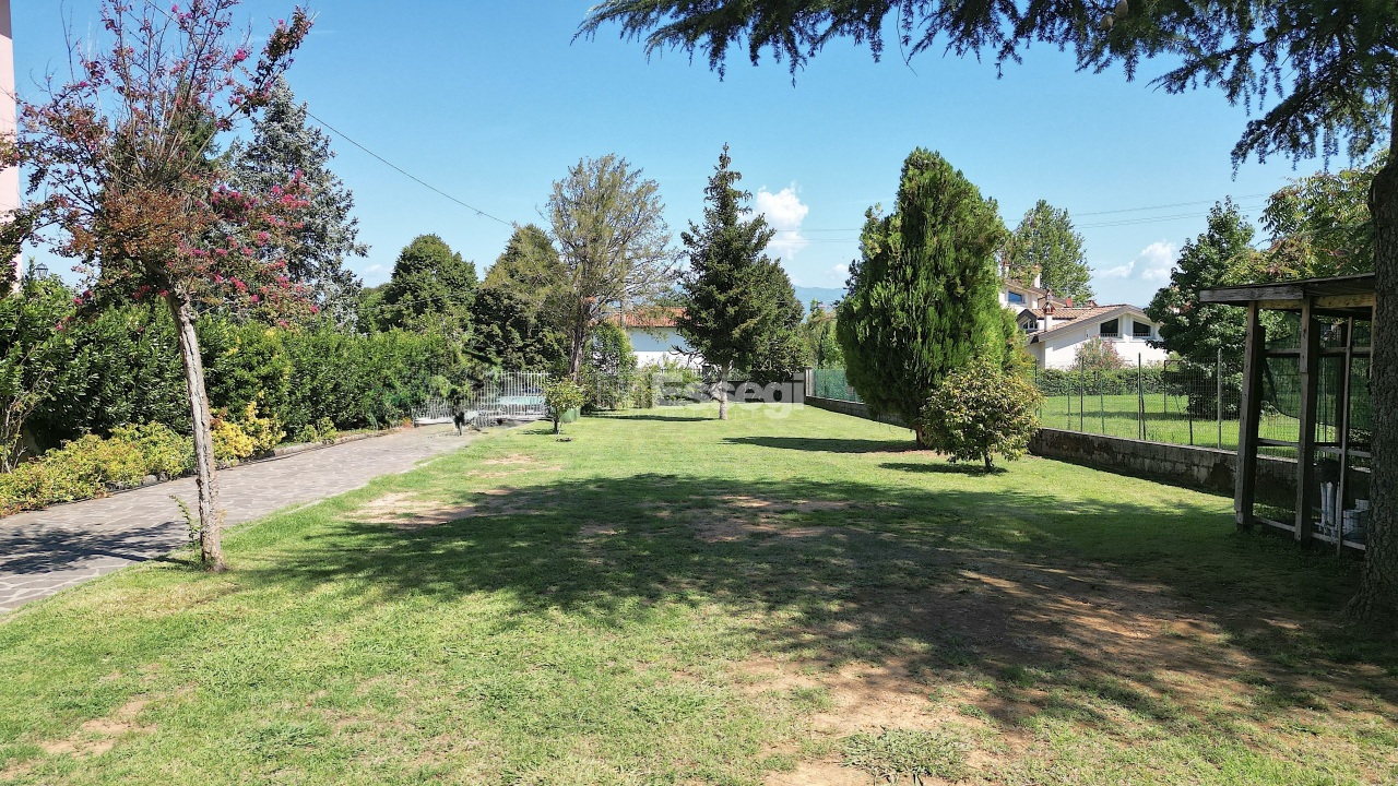 House in Lucca - Image 2